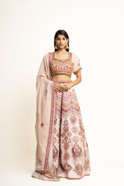 Ivory Embroidered Designer ethnic Lehenga