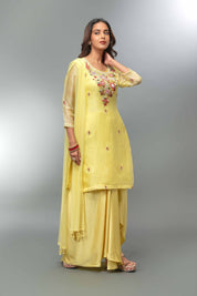 Organza Kurta Skirt With Dupatta - Tulsistudiolifestyletest