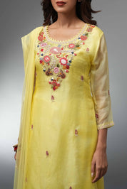 Organza Kurta Skirt With Dupatta - Tulsistudiolifestyletest